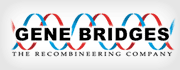 genebridges